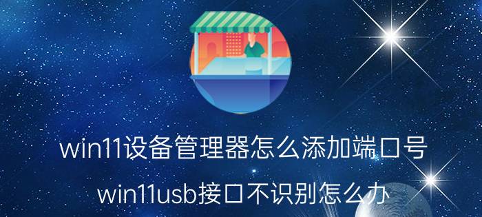 win11设备管理器怎么添加端口号 win11usb接口不识别怎么办？